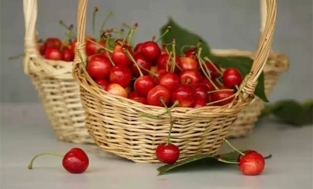 只坏一点点的苹果,只坏了一半的水果可以切下来吃吗