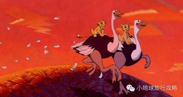 可能是最全的，肯尼亚坦桑尼亚动物百科。小地球耗时一周整理！