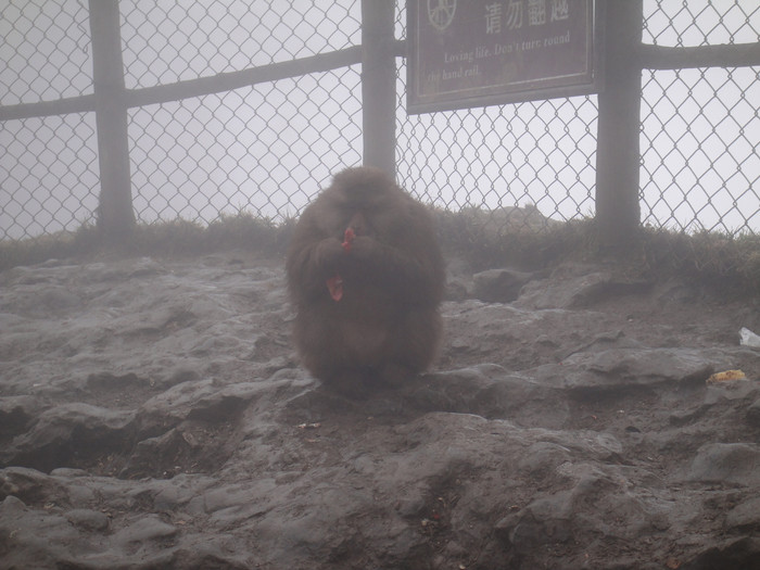 我们的故事缘定这里-四川