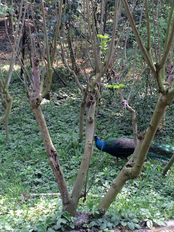 我们的故事缘定这里-四川