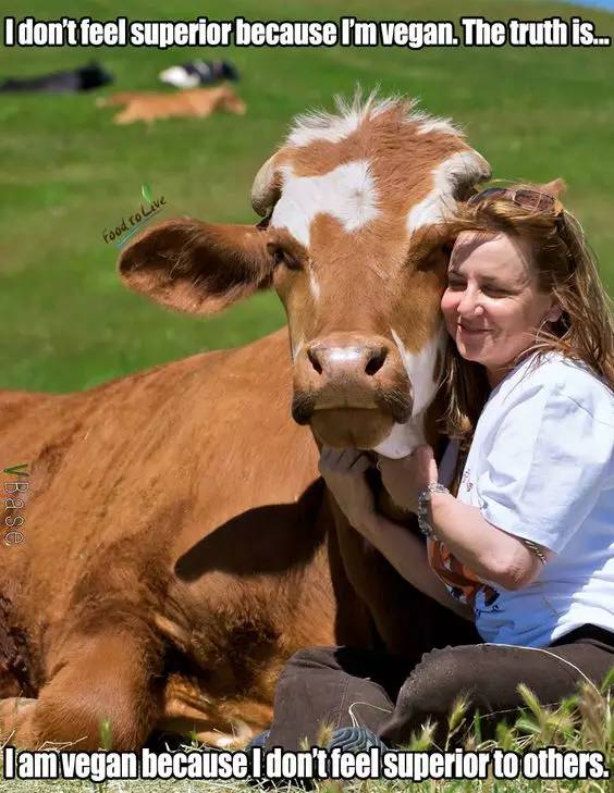 素食的三大好处,素食四大好处
