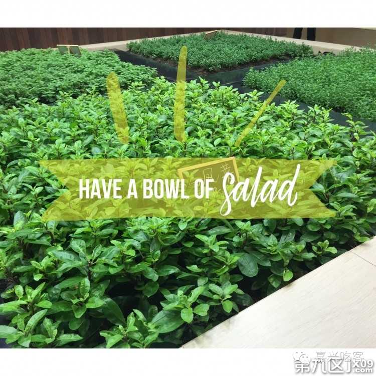 粗去浪|为了推荐好吃的咖喱和零食,本宝宝码字好辛苦!