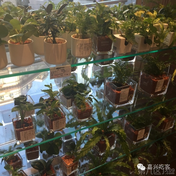 粗去浪|为了推荐好吃的咖喱和零食,本宝宝码字好辛苦!