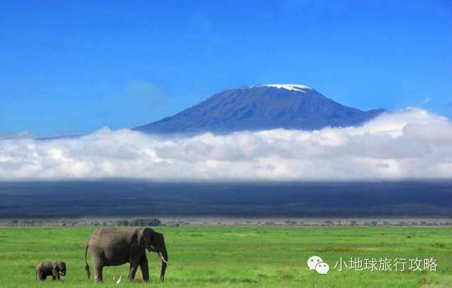 可能是最全的，肯尼亚坦桑尼亚动物百科。小地球耗时一周整理！