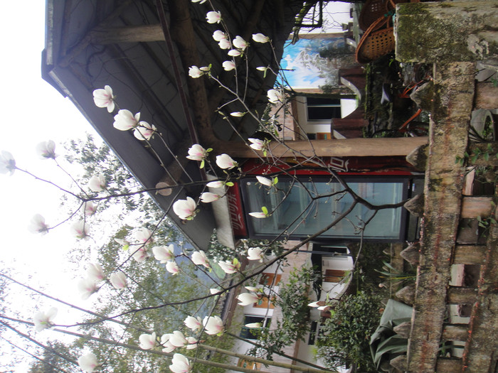 我们的故事缘定这里-四川