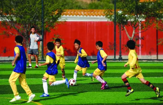 足球特色项目三年发展规划,广东足球高质量发展落实情况