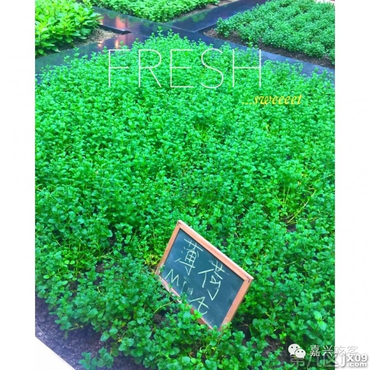 粗去浪|为了推荐好吃的咖喱和零食,本宝宝码字好辛苦!