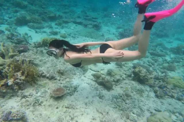 美人鱼帕劳旅游,美人鱼带你去水下世界