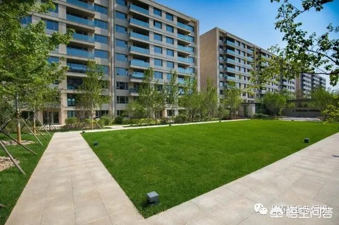 长春本地房地产开发商排名,长春哪个开发商的房子好