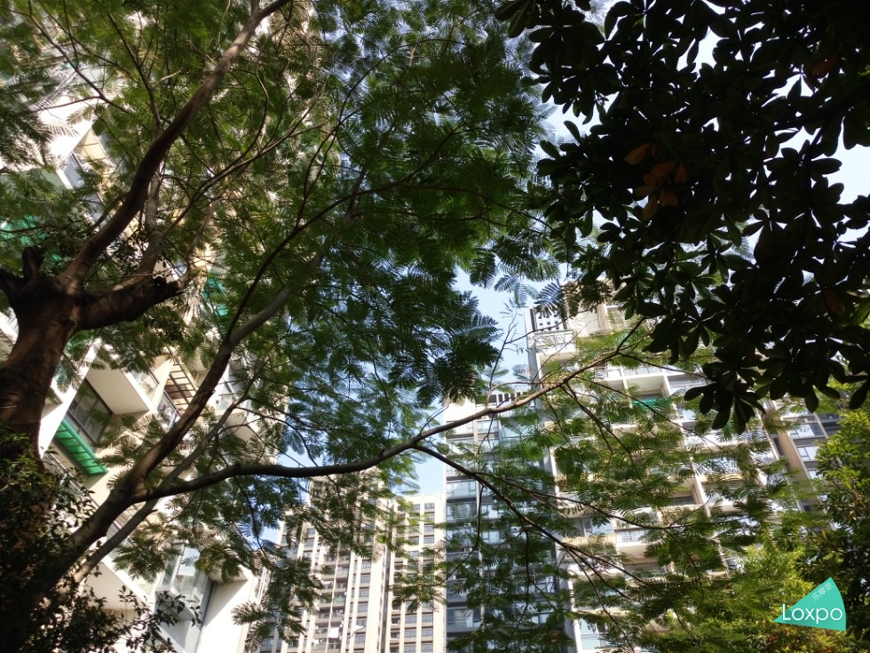 一分钟了解vivoy5s,一分钟了解vivo最新款