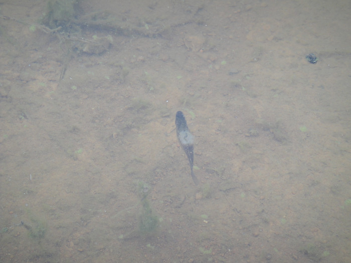 我们的故事缘定这里-四川