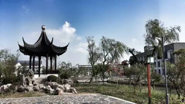 相城区有什么新学校,相城大学有哪些