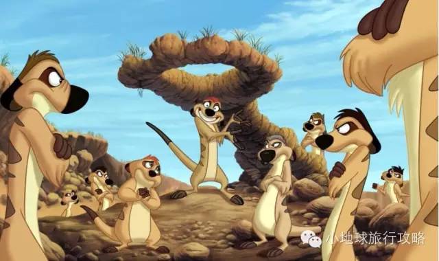 可能是最全的，肯尼亚坦桑尼亚动物百科。小地球耗时一周整理！