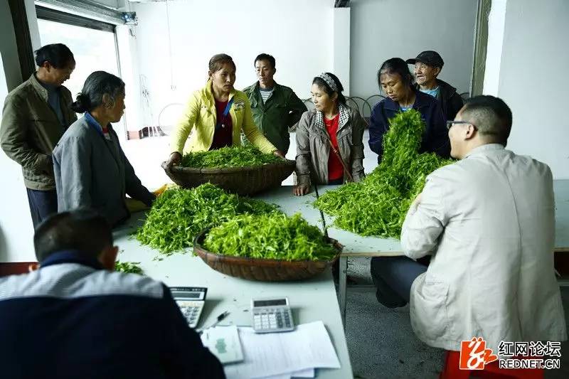 传说中的世外桃源:走进千年土家长寿村