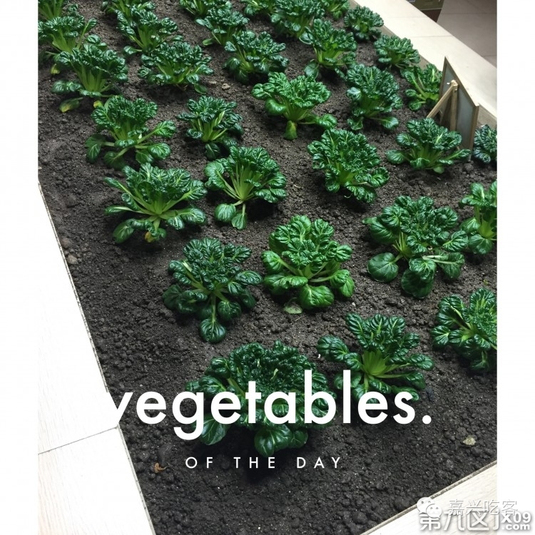 粗去浪|为了推荐好吃的咖喱和零食,本宝宝码字好辛苦!