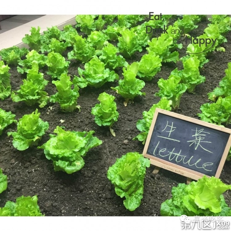 粗去浪|为了推荐好吃的咖喱和零食,本宝宝码字好辛苦!