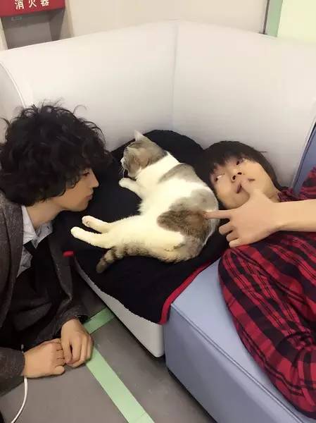 可攻可受｜洼田小哥这季的作品怎么都是这个画风！