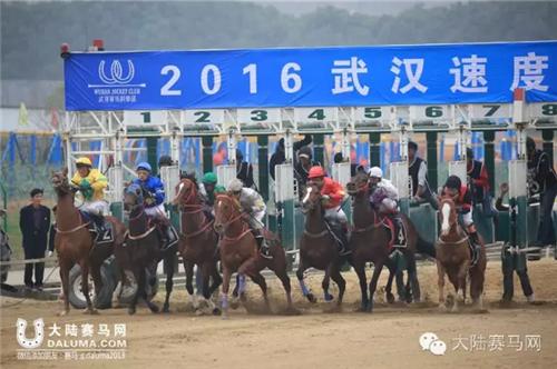 武汉赛马比赛时间表,武汉速度赛马公开赛入场时间