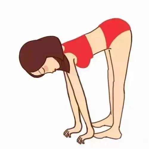 基础瑜伽视频教程初级,程婷初学瑜伽基础入门