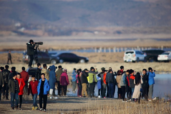 白石水库看天鹅最佳位置导航,白石水库看天鹅2020