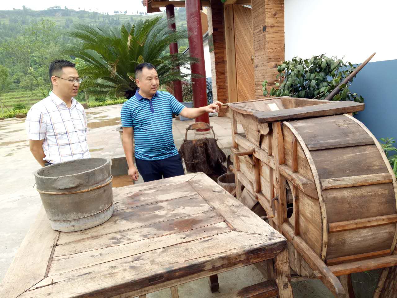 南充市世阳镇最新视频,南充世阳镇最新消息