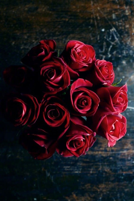 每日情感问答栗子姐,栗子姐每日情感问答全集