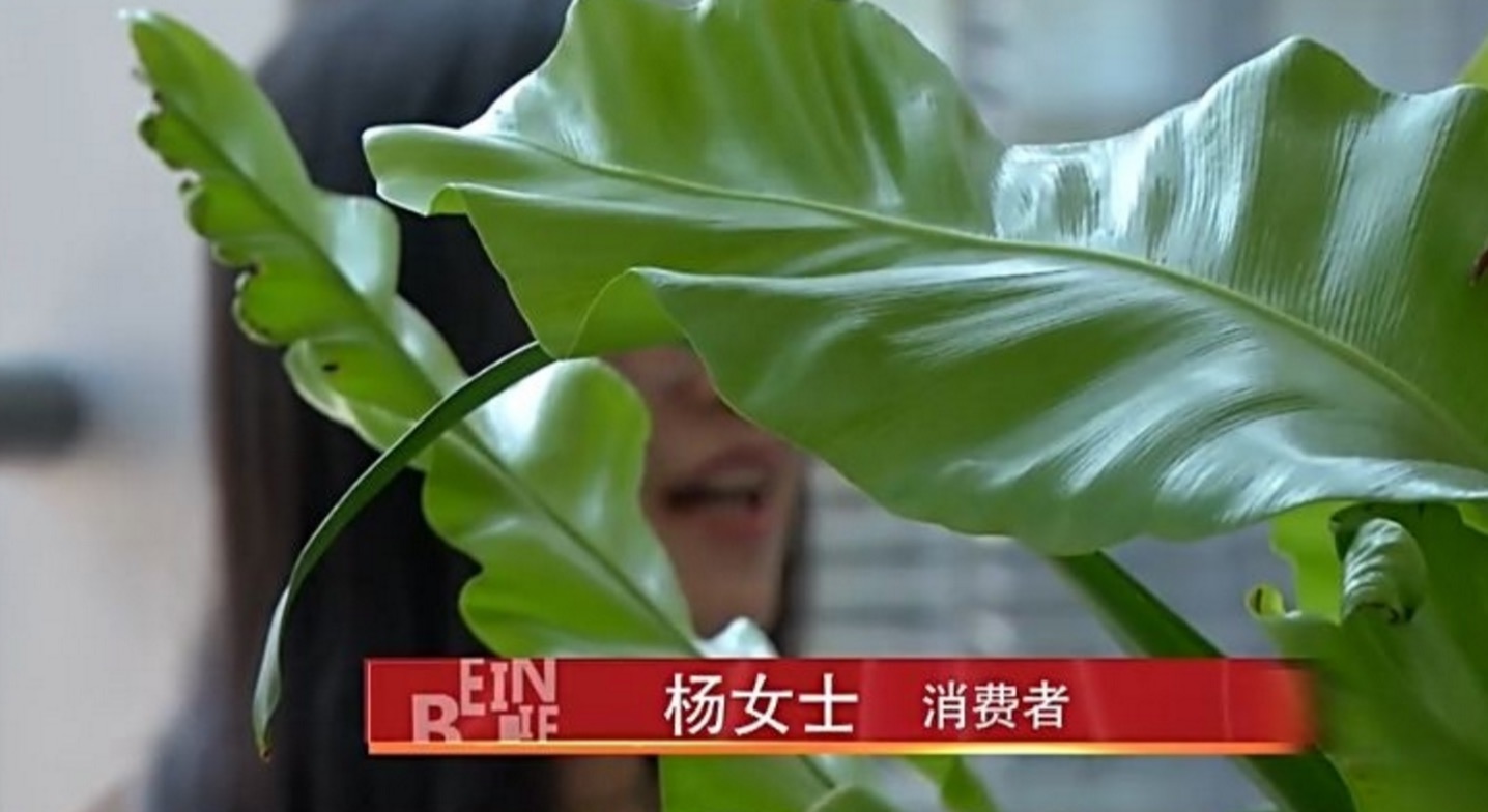 小米6经常死机跟电池有关吗,央视小米死机