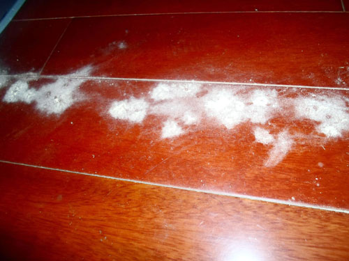 木地板被虫蛀怎么办,木地板虫蛀了一个洞眼怎么修复