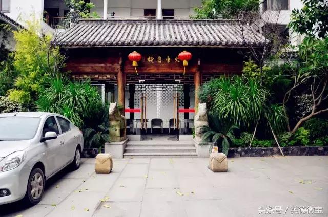 刘家旺普罗旺斯薰衣草花海,法国普罗旺斯薰衣草花海唯美视频