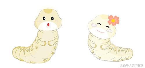 吐丝不结茧,吐司不拉丝