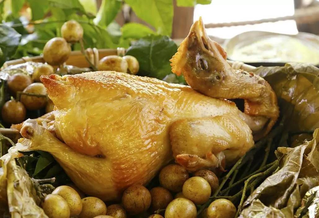 仲夏海口│探幽访古欢乐摘果听蝉鸣