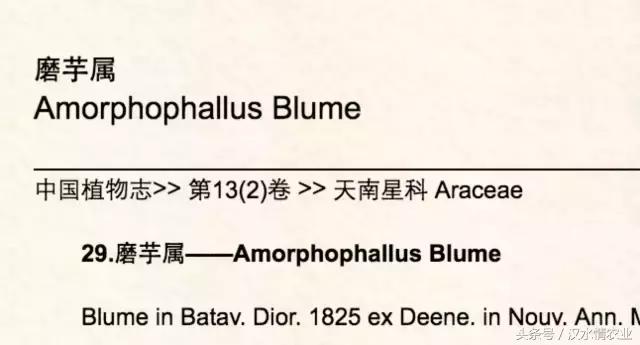 「富硒集市」到底是魔芋、磨芋、还是蘑芋?