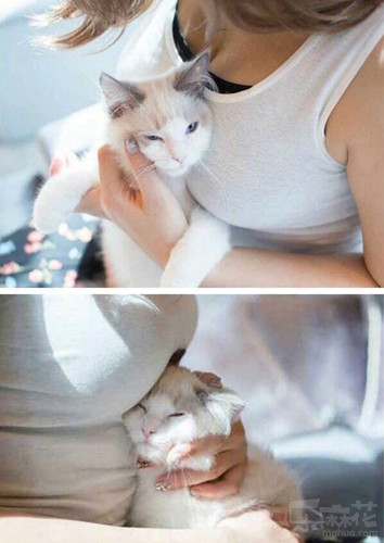 舔第二碗时,丈母娘拉我的手说:放这儿吧!等下我来洗