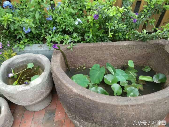 锦园，心得自在呼吸