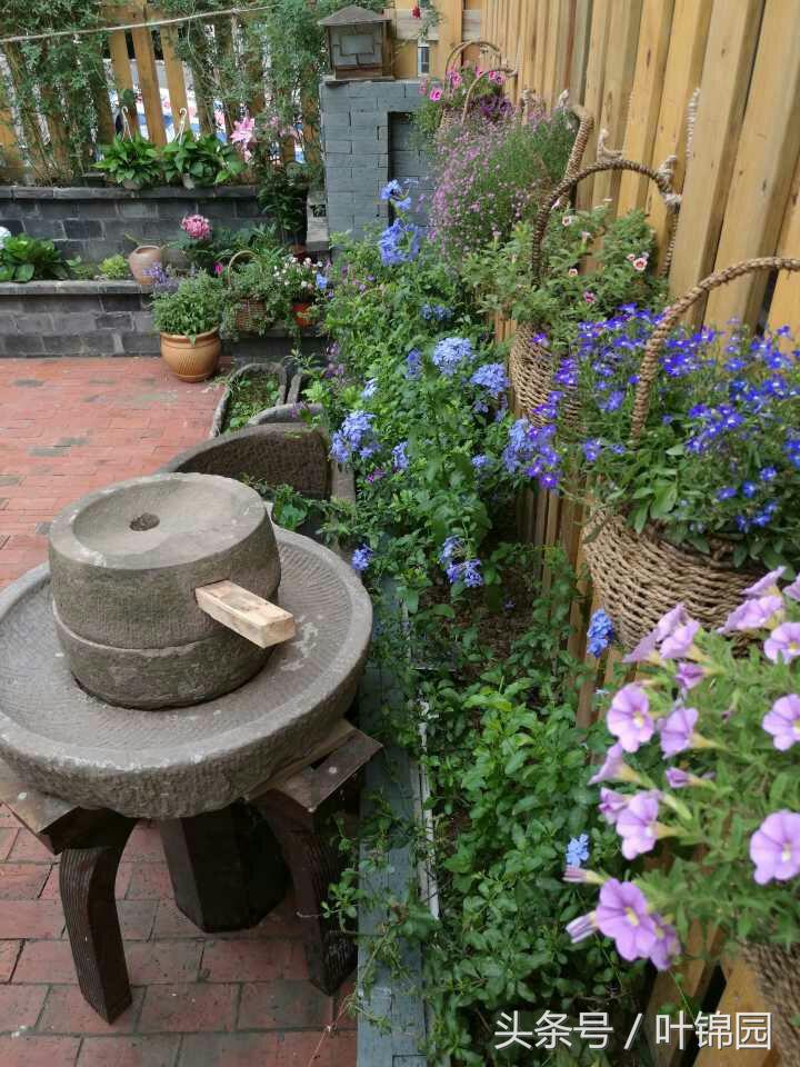 锦园，心得自在呼吸