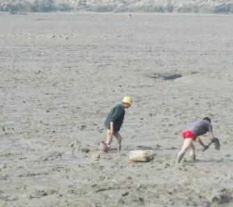福建恐怖食物,福建十大恐怖美食
