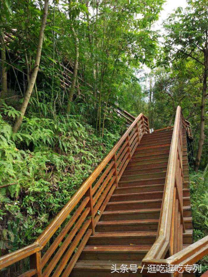 广州生物岛叠翠园门票,广州市黄埔区国际生物岛