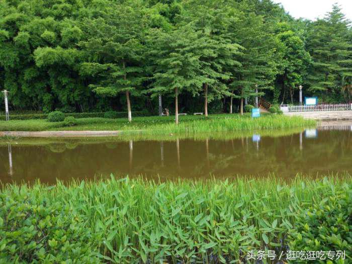 广州生物岛叠翠园门票,广州市黄埔区国际生物岛