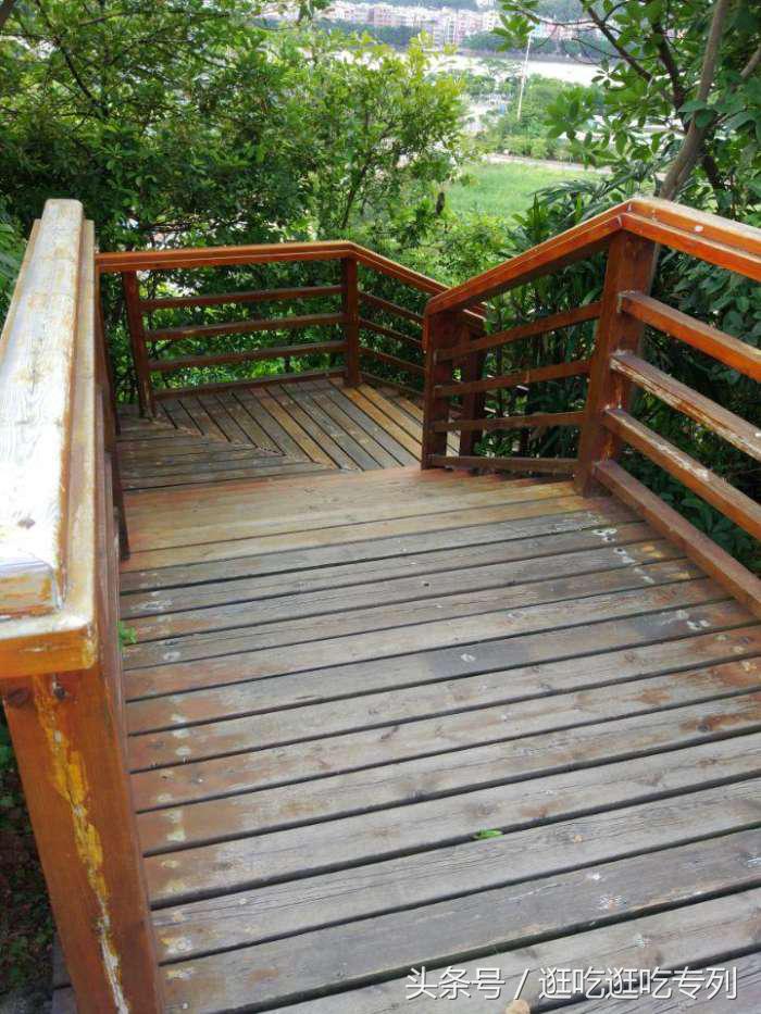 广州生物岛叠翠园门票,广州市黄埔区国际生物岛