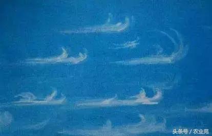 怎么根据云彩来判断天气,云彩识别天气图解
