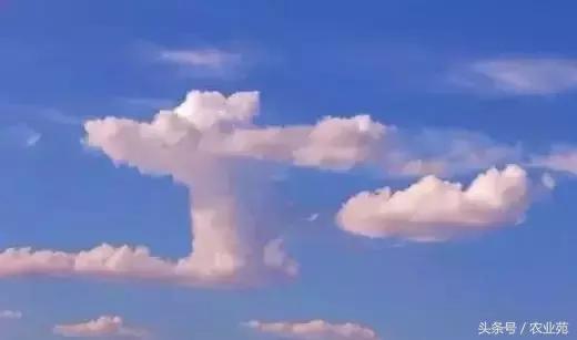 怎么根据云彩来判断天气,云彩识别天气图解