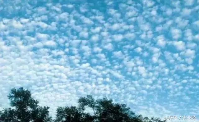 怎么根据云彩来判断天气,云彩识别天气图解