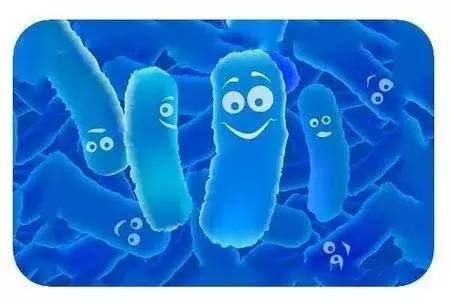 剖腹产宝宝补益生菌,剖腹产后出现大肠杆菌是怎么回事