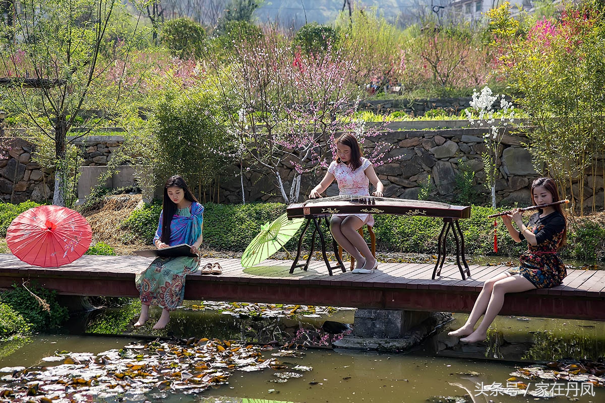 丹凤县的地域文化,商洛市丹凤县的名胜古迹