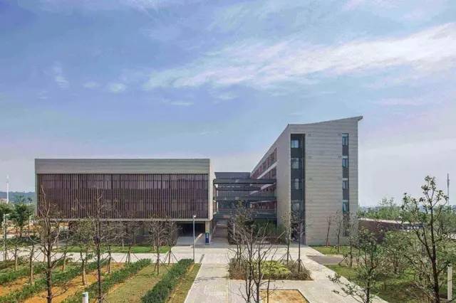 安徽状元中学排行榜,安徽高中最厉害的学校排名榜