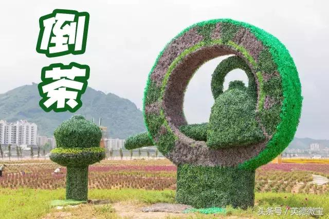 刘家旺普罗旺斯薰衣草花海,法国普罗旺斯薰衣草花海唯美视频