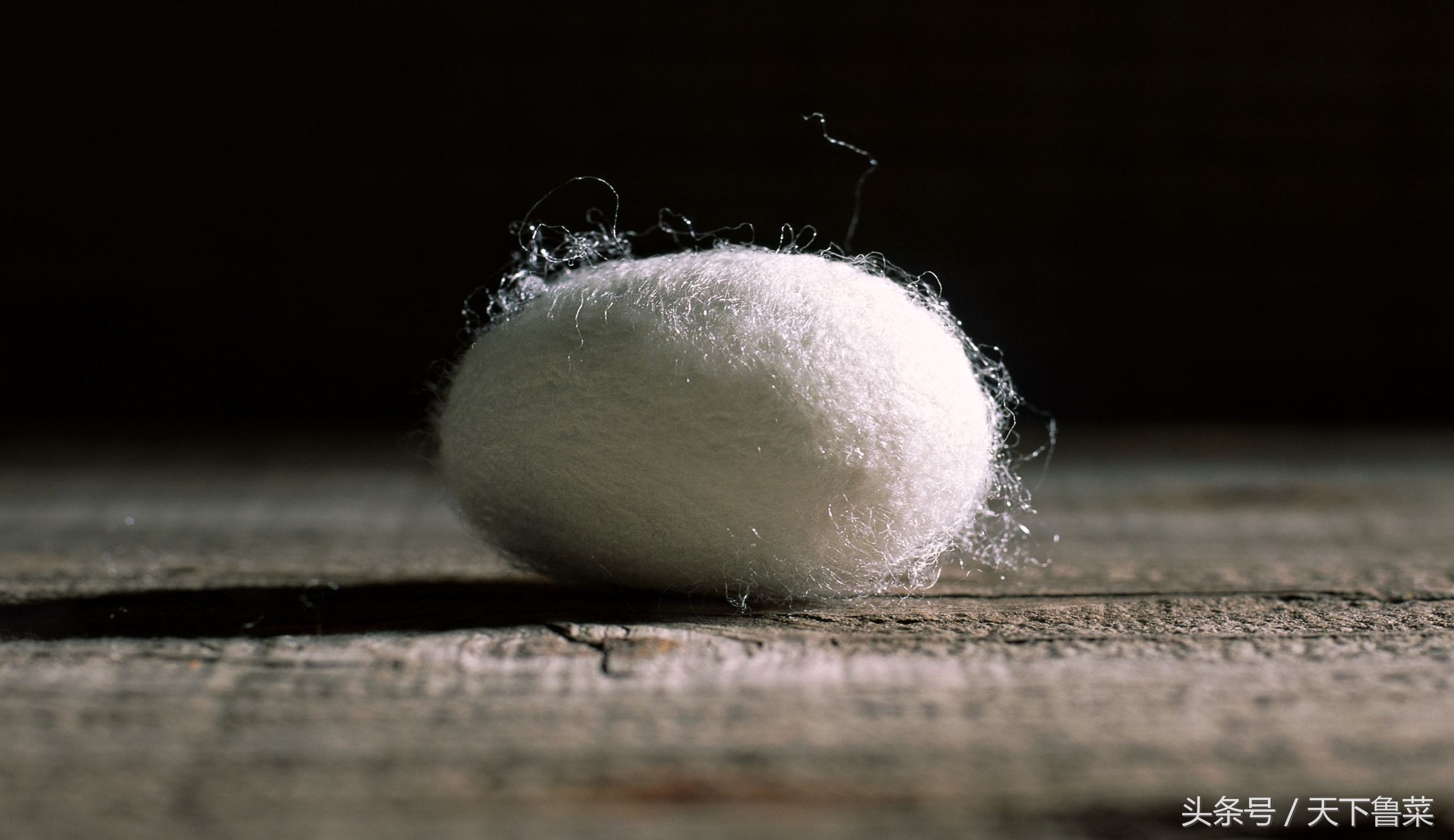 吐丝不结茧,吐司不拉丝