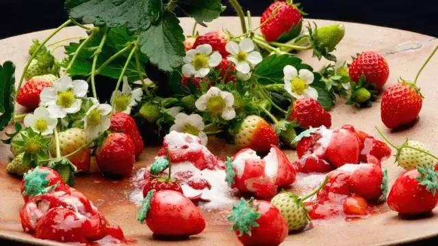 豆腐分子料理,亚洲第一分子料理