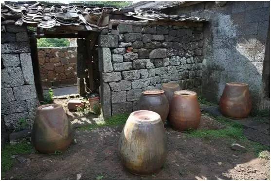 仲夏海口│探幽访古欢乐摘果听蝉鸣