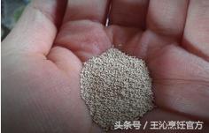 做包子不用发酵母怎么发酵,包子面皮发酵过程不发酵怎么办